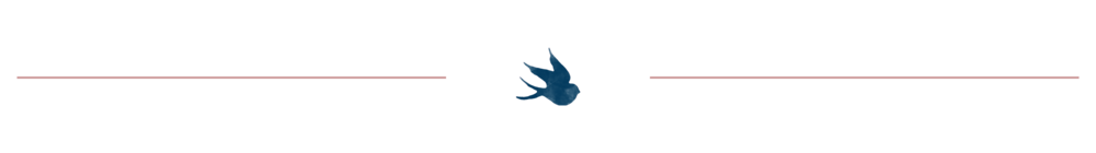 logospacer.png